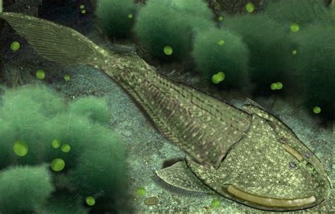 agnatha fishes|29.2A: Agnathans.